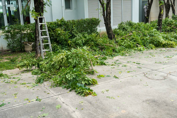 Best Mulching Services  in Beacon, NY