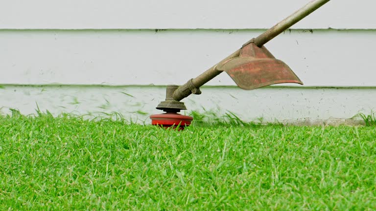 Best Lawn Pest Prevention  in Beacon, NY