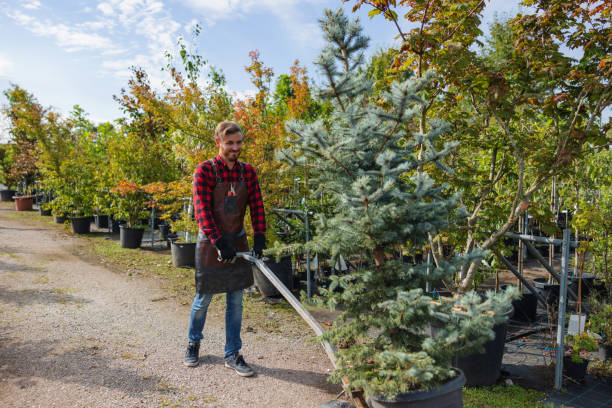 Best Arborist Consultation Services  in Beacon, NY
